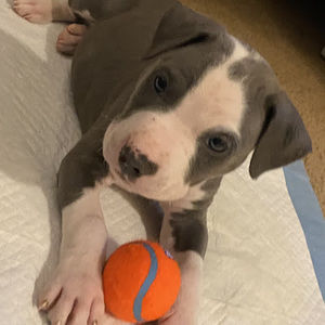 Meet your Posher, Patrycia